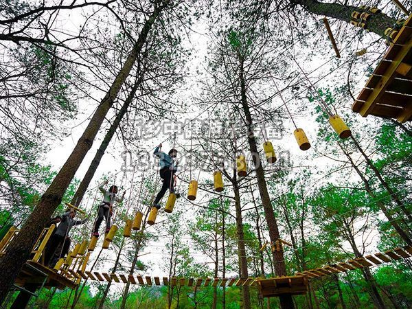 叢林穿越設備的搭建對環(huán)境有影響嗎？